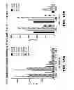 Fig. 29 - Modulators and methods of use