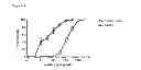 Fig. 02 - RSV specific binding molecule