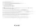 Fig. 04 - RSV specific binding molecule