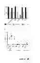 Fig. 09 - RSV specific binding molecule