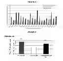 Fig. 02 - Chlamydia antigens