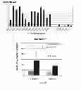 Fig. 03 - Chlamydia antigens