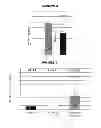 Fig. 04 - Chlamydia antigens