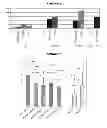 Fig. 05 - Chlamydia antigens