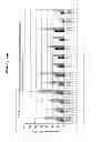 Fig. 12 - Chlamydia antigens