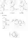 Fig. 27 - METHODS OF LOWERING PROPROTEIN CONVERSATE SUBTILISIN/KEXIN TYPE 9 (PCSK9)