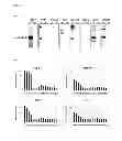 Fig. 06 - MAGEA3 BINDING ANTIBODIES