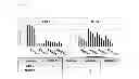Fig. 13 - MAGEA3 BINDING ANTIBODIES