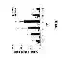 Fig. 07 - METHODS FOR PANCREATIC TISSUE REGENERATION