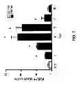 Fig. 08 - METHODS FOR PANCREATIC TISSUE REGENERATION