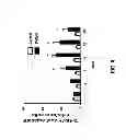 Fig. 09 - METHODS FOR PANCREATIC TISSUE REGENERATION