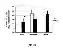 Fig. 21 - METHODS FOR PANCREATIC TISSUE REGENERATION