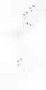 Fig. 154 - Bio-orthogonal drug activation