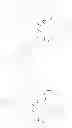Fig. 173 - Bio-orthogonal drug activation