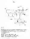 Fig. 02 - Anti-Integrin Immunoconjugates, Methods and Uses