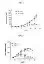 Fig. 05 - Anti-Integrin Immunoconjugates, Methods and Uses