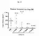 Fig. 09 - Anti-Integrin Immunoconjugates, Methods and Uses