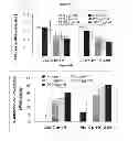 Fig. 11 - Modified chaperonin 10