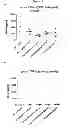 Fig. 21 - Modified chaperonin 10