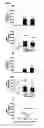 Fig. 02 - COMPOSITIONS AND METHODS OF TREATING OPIOID ADDICTION