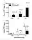 Fig. 03 - COMPOSITIONS AND METHODS OF TREATING OPIOID ADDICTION