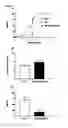 Fig. 04 - COMPOSITIONS AND METHODS OF TREATING OPIOID ADDICTION