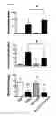 Fig. 07 - COMPOSITIONS AND METHODS OF TREATING OPIOID ADDICTION