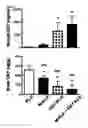 Fig. 08 - COMPOSITIONS AND METHODS OF TREATING OPIOID ADDICTION