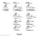 Fig. 10 - COMPOSITIONS AND METHODS OF TREATING OPIOID ADDICTION