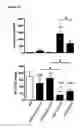 Fig. 11 - COMPOSITIONS AND METHODS OF TREATING OPIOID ADDICTION
