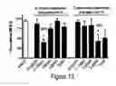 Fig. 14 - COMPOSITIONS AND METHODS OF TREATING OPIOID ADDICTION