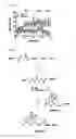 Fig. 17 - COMPOSITIONS AND METHODS OF TREATING OPIOID ADDICTION