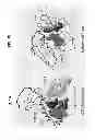Fig. 02 - Deletion of the beta 20-21 loop in HIV GP120 exposes the CD4 binding site for improved antibody binding and antibody induction