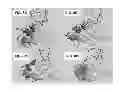 Fig. 10 - Deletion of the beta 20-21 loop in HIV GP120 exposes the CD4 binding site for improved antibody binding and antibody induction