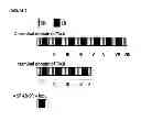Fig. 10 - Immunogenic composition