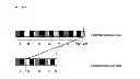 Fig. 12 - Immunogenic composition