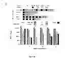 Fig. 12 - MALARIA VACCINES