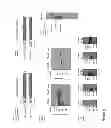 Fig. 10 - Immunogenic compositions in particulate form and methods for producing the same