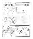Fig. 02 - Polypeptides and vectors for targeting HER2/expressing cells and uses thereof