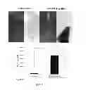 Fig. 05 - Polypeptides and vectors for targeting HER2/expressing cells and uses thereof