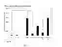 Fig. 08 - Polypeptides and vectors for targeting HER2/expressing cells and uses thereof