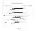 Fig. 03 - Compositions and methods of enhancing immune responses