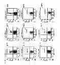 Fig. 11 - Method for priming of T cells