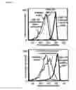 Fig. 03 - IMMUNOGENIC COMPOSITIONS AND EXPRESSION SYSTEMS