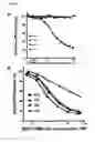 Fig. 09 - IMMUNOGENIC COMPOSITIONS AND EXPRESSION SYSTEMS