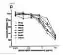 Fig. 14 - IMMUNOGENIC COMPOSITIONS AND EXPRESSION SYSTEMS