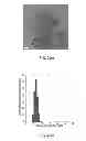 Fig. 03 - Nanoparticle - Biocide Treatment of Biofilms