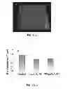 Fig. 12 - Nanoparticle - Biocide Treatment of Biofilms