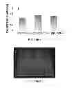 Fig. 13 - Nanoparticle - Biocide Treatment of Biofilms