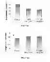 Fig. 15 - Nanoparticle - Biocide Treatment of Biofilms